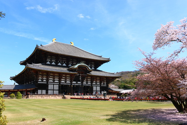Hình ảnh Chùa Todai-ji tại tỉnh Nara, Nhật Bản
