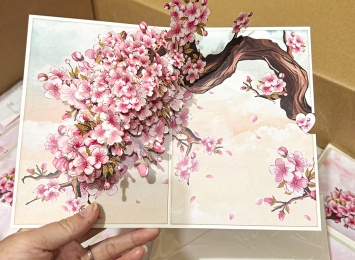 XEM CÁC DỰ ÁN TAYTA THỰC HIỆN >>