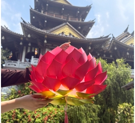 [MỚI 2026] Lồng đèn 