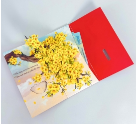 Combo 5 Thiệp Mai Vàng - Thiệp Lì Xì 3D Sống Động Chào Xuân Rực Rỡ